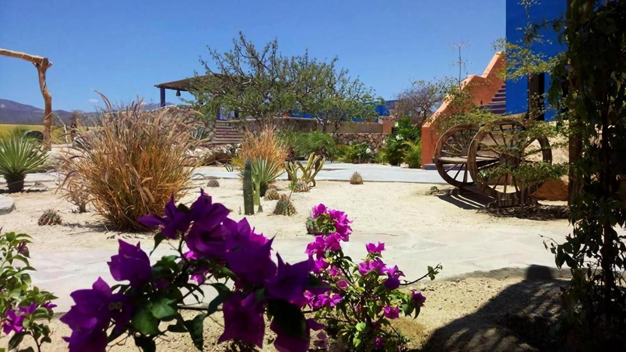Hotel Boutique Las Terrazas El Cardonal Kültér fotó